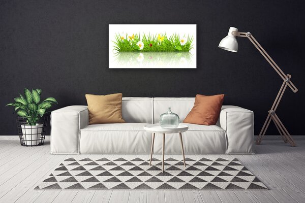 Obraz canvas na ścianę Zielona Świeżość Trawy