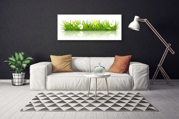 Obraz canvas na ścianę Zielona Świeżość Trawy