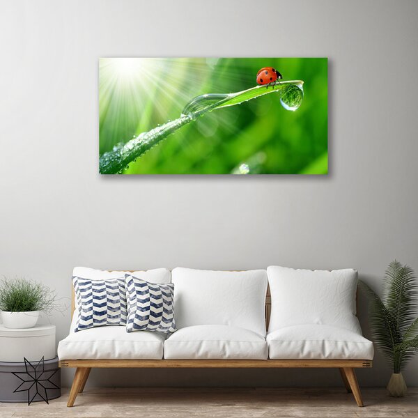 Obraz canvas na ścianę Mała Biedronka na Źdźble