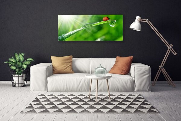 Obraz canvas na ścianę Mała Biedronka na Źdźble