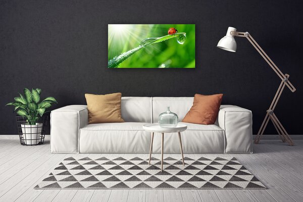 Obraz canvas na ścianę Mała Biedronka na Źdźble