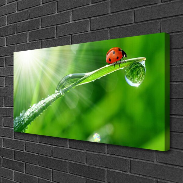 Obraz canvas na ścianę Mała Biedronka na Źdźble