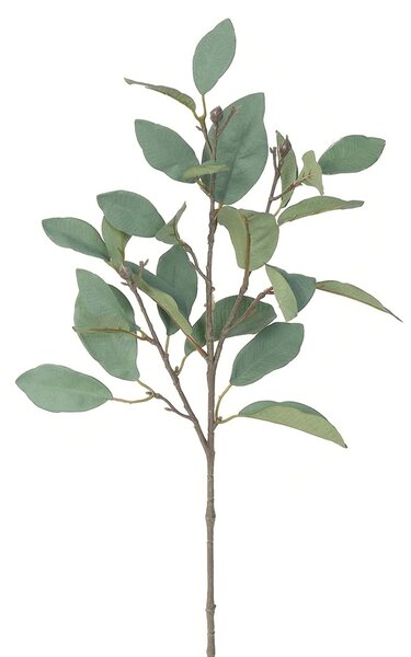 Sztuczna gałązka Magnolii zielono-szary, 62 cm