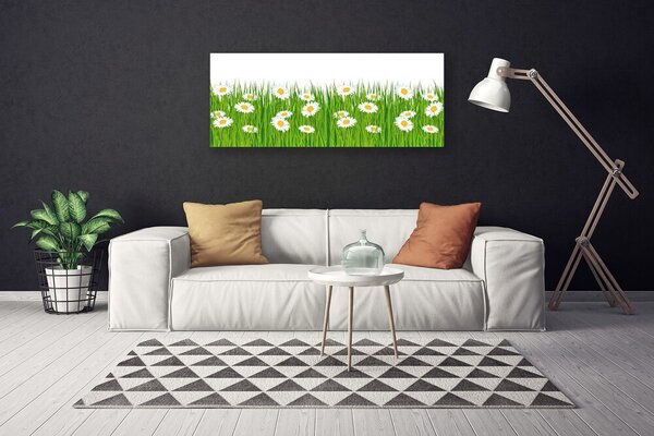Obraz canvas na ścianę Stokrotki w Zielonej Trawie