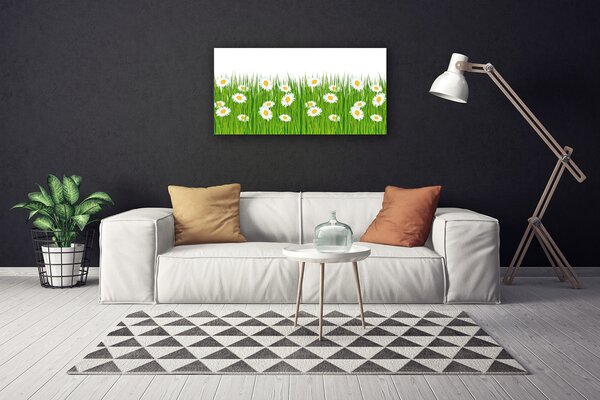 Obraz canvas na ścianę Stokrotki w Zielonej Trawie