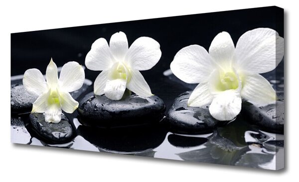 Obraz na płótnie Orchidea w Kompozycji Zen