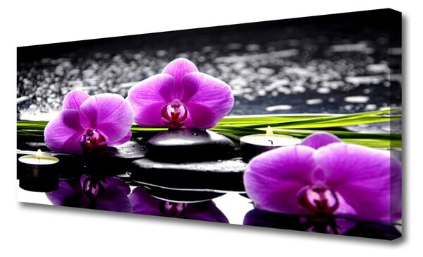 Obraz drukowany na płótnie Egzotyczny Kwiat Orchidei