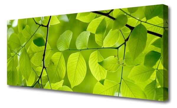 Zdjęcie na płótnie Botaniczny Detal Liści