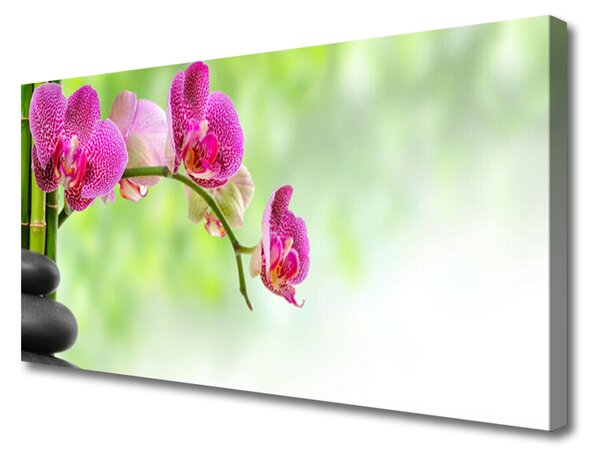 Obraz na Płótnie Kwiat Natura Bambus