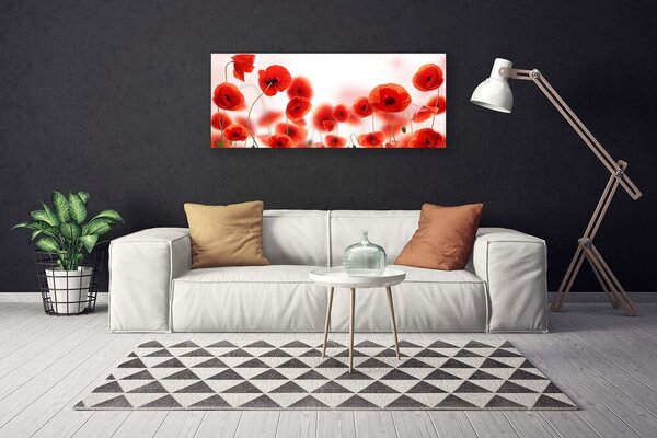 Obraz canvas na ścianę Czerwone Maki w Polu