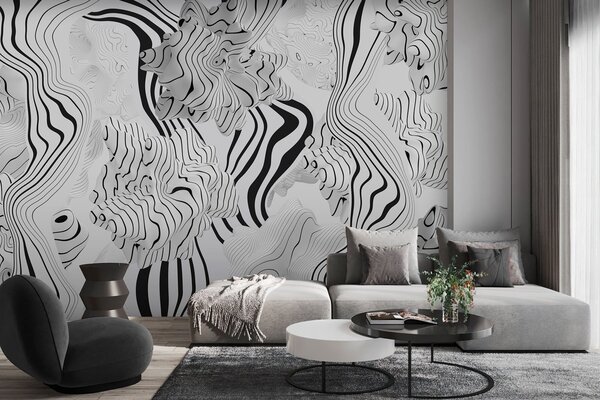 Fototapety abstrakcyjne organiczne kształty w stylu 3D w odcieniach bieli i szarości z czarnymi paskami, Fototapety Abstrakcja, w04627 : Uwalls.pl