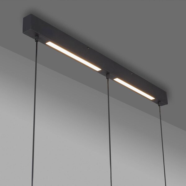 Schöner Wohnen Lampa wisząca DANTE, czarny, salon / jadalnia, metal, nowoczesny