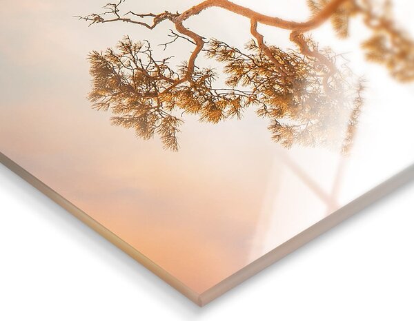 Szklany obraz 50x70 cm Brown Tree – Styler