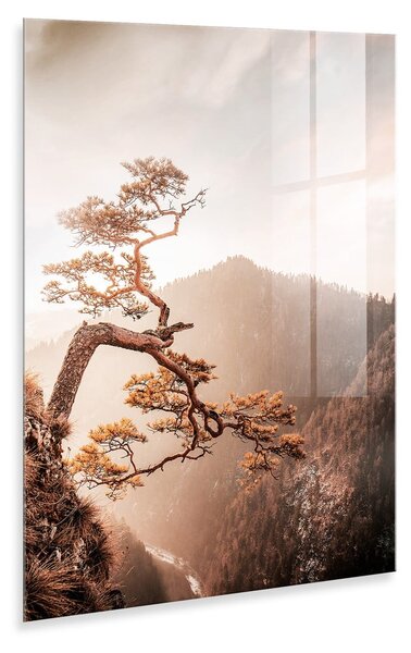 Szklany obraz 50x70 cm Brown Tree – Styler