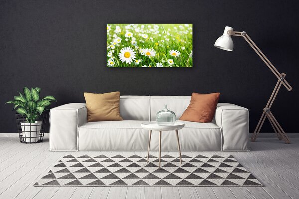 Obraz canvas na ścianę Biała Stokrotka w Detalu