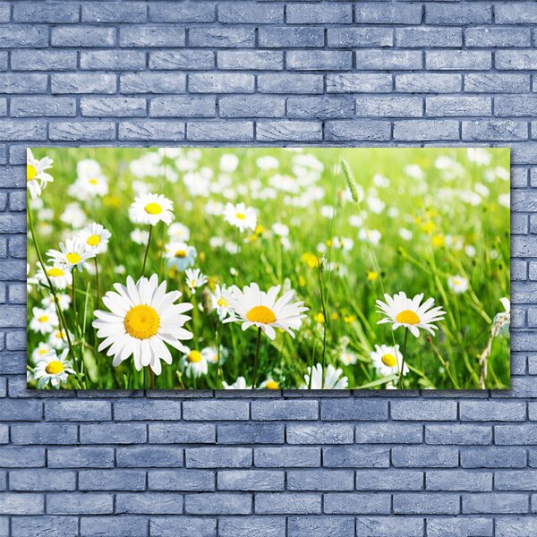 Obraz canvas na ścianę Biała Stokrotka w Detalu