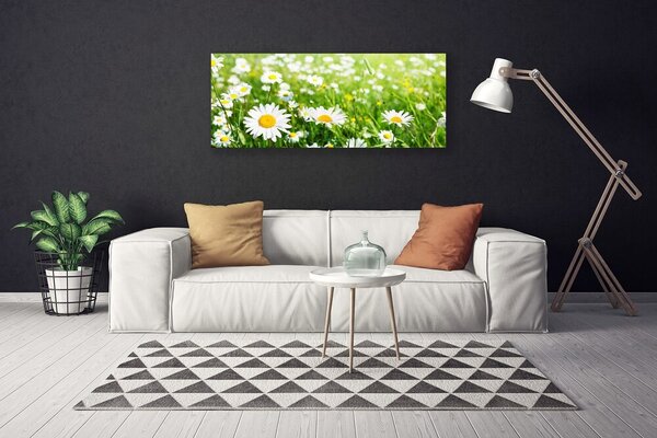 Obraz canvas na ścianę Biała Stokrotka w Detalu