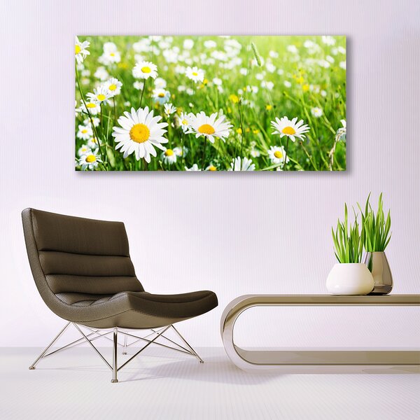 Obraz canvas na ścianę Biała Stokrotka w Detalu