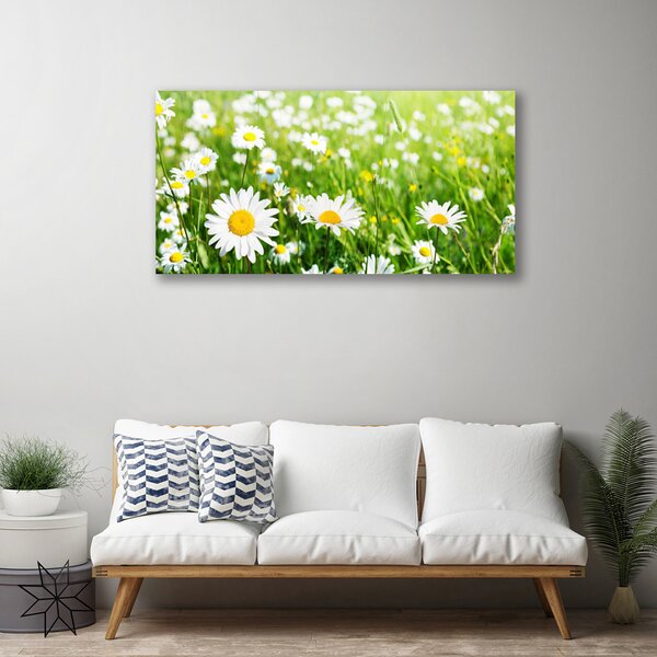 Obraz canvas na ścianę Biała Stokrotka w Detalu
