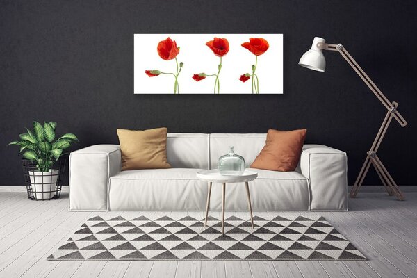 Obraz canvas na ścianę Czerwone Maki w Słońcu