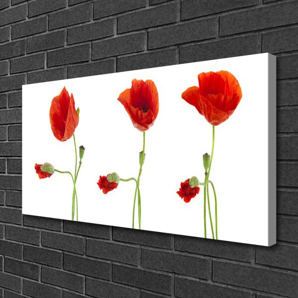 Obraz canvas na ścianę Czerwone Maki w Słońcu