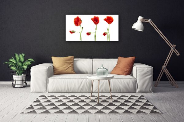 Obraz canvas na ścianę Czerwone Maki w Słońcu