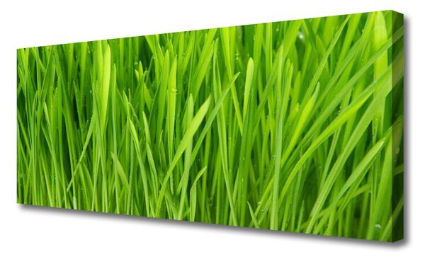 Obraz na płótnie Naturalna Tekstura Zieleni
