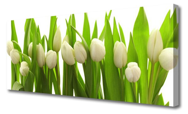 Obraz canvas na ścianę Kolorowy Zawrót Głowy: Tulipany