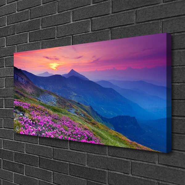 Obraz canvas na ścianę Panorama Górskiej Polany