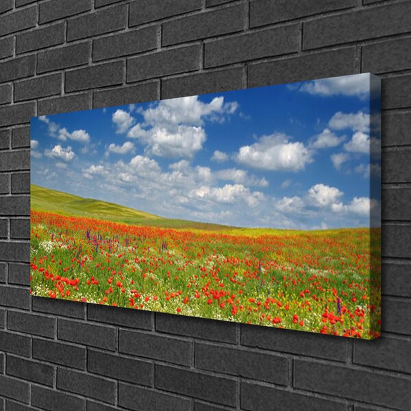 Obraz canvas na ścianę Sielski Pejzaż Polny