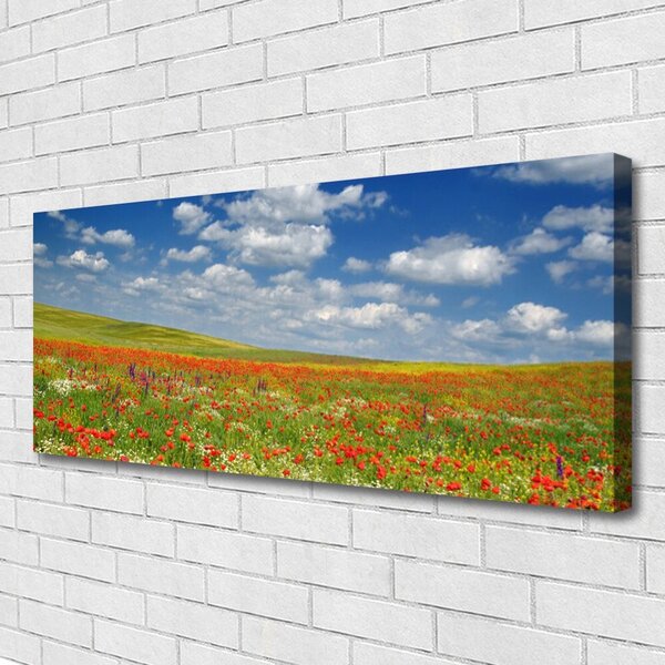 Obraz canvas na ścianę Sielski Pejzaż Polny