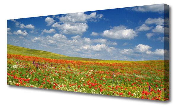 Obraz canvas na ścianę Sielski Pejzaż Polny