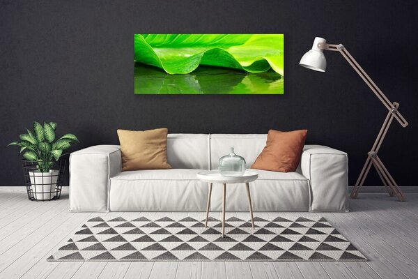 Obraz canvas Makro Struktura Liścia