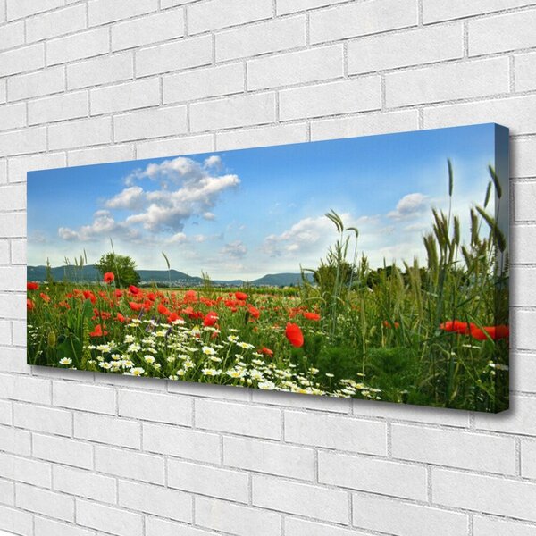 Obraz canvas Sielska Polana Kwiatowa