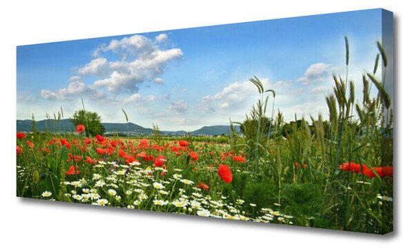 Obraz canvas Sielska Polana Kwiatowa
