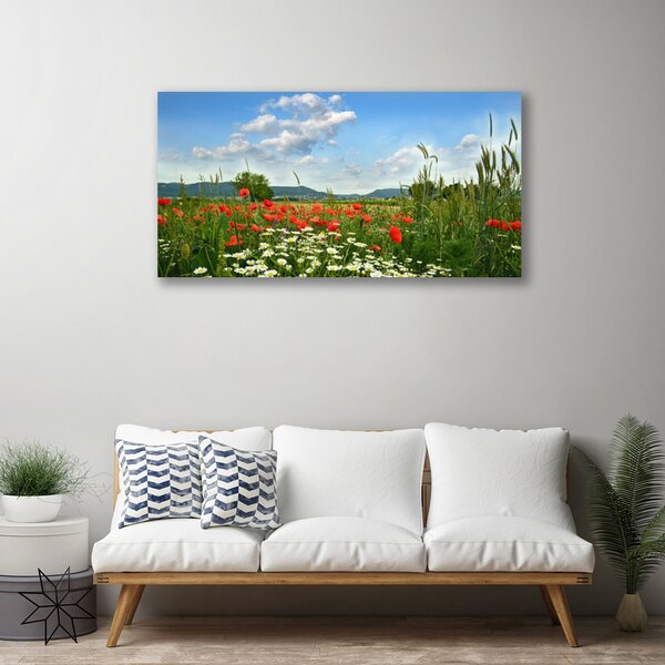 Obraz canvas Sielska Polana Kwiatowa