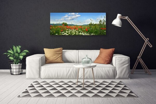 Obraz canvas Sielska Polana Kwiatowa