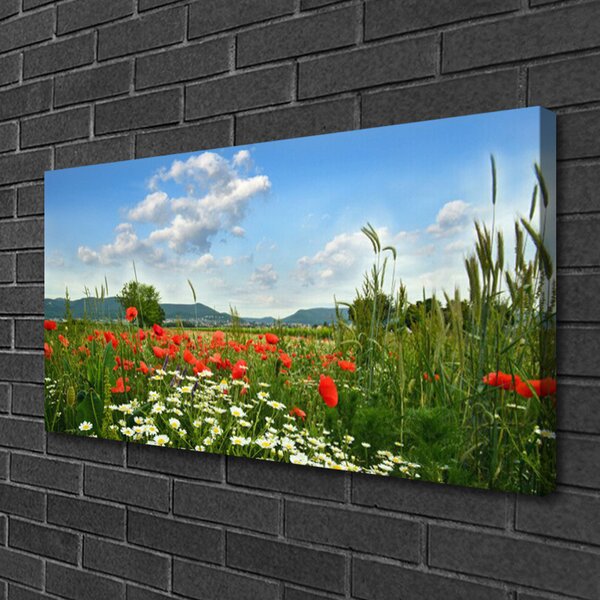 Obraz canvas Sielska Polana Kwiatowa