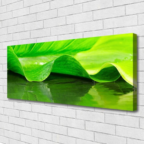 Obraz canvas Makro Struktura Liścia