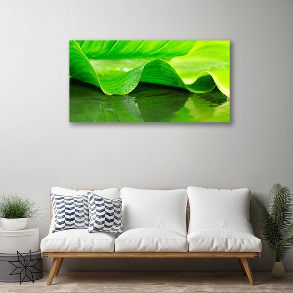 Obraz canvas Makro Struktura Liścia