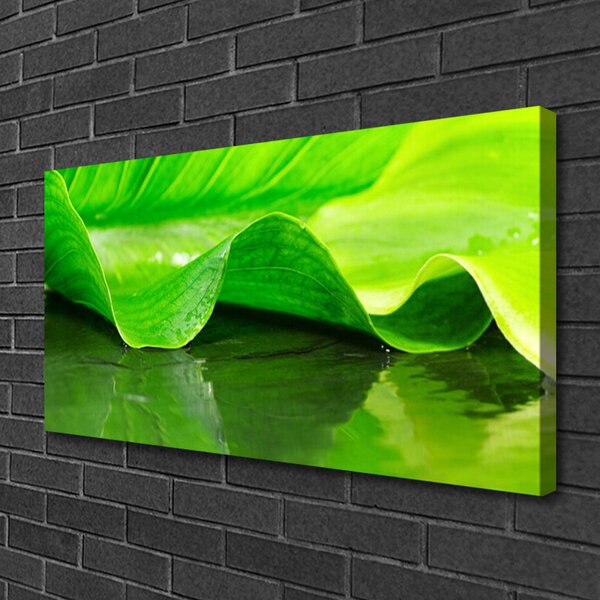 Obraz canvas Makro Struktura Liścia