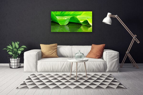 Obraz canvas Makro Struktura Liścia