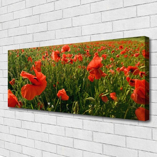Obraz canvas Maki w Porannej Rosie