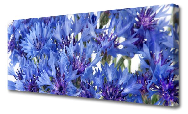 Obraz canvas Delikatność Roślinnych Form