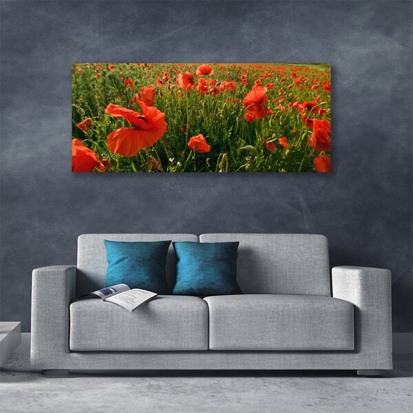 Obraz canvas Maki w Porannej Rosie