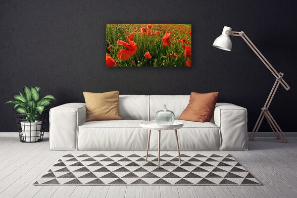 Obraz canvas Maki w Porannej Rosie