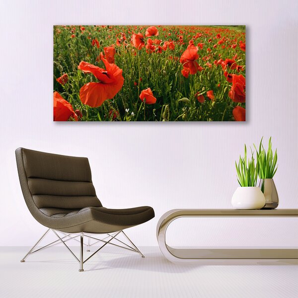 Obraz canvas Maki w Porannej Rosie