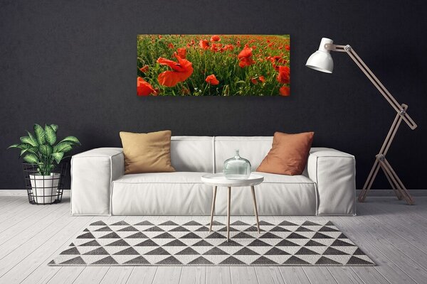 Obraz canvas Maki w Porannej Rosie