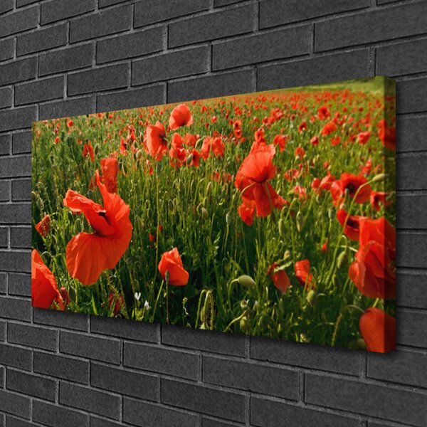 Obraz canvas Maki w Porannej Rosie