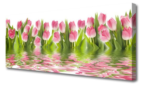 Obraz canvas na ścianę Pąki Tulipanów w Ogrodzie